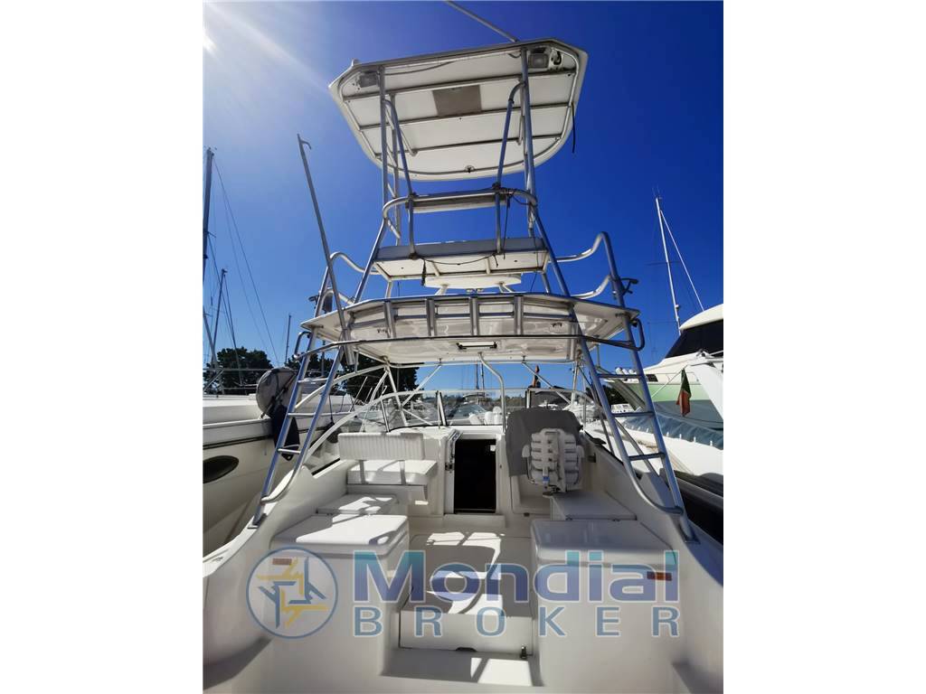 Luhrs 28 open