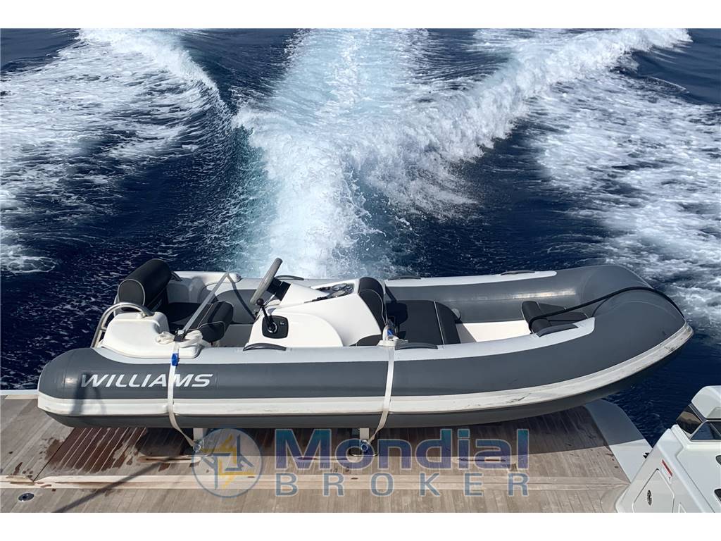 Williams 325 jet rib