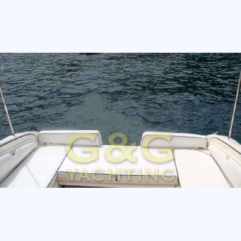 Fiart Genius 28'