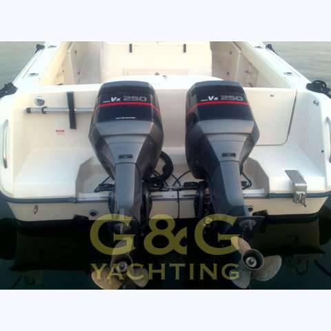 Grady white Bimini 306