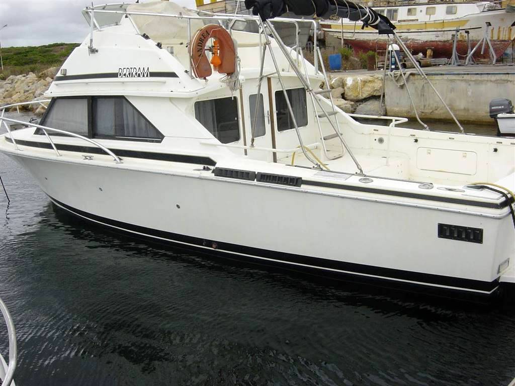 Bertram yacht 28 fly