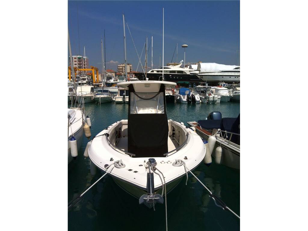 Robalo R 260 cc
