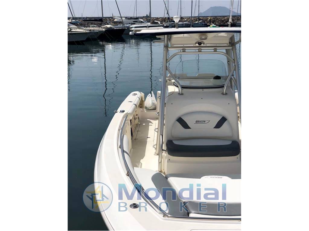 Boston whaler 320 outrage