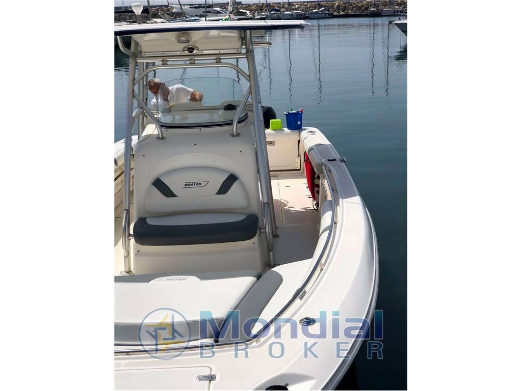 Boston whaler 320 outrage