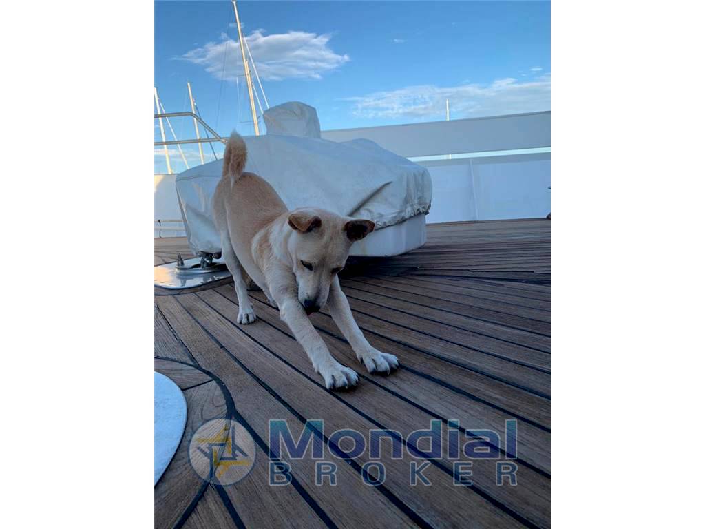 Benetti Delfino