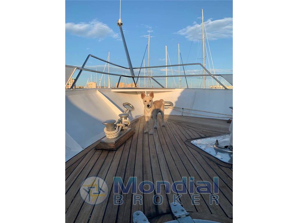 Benetti Delfino