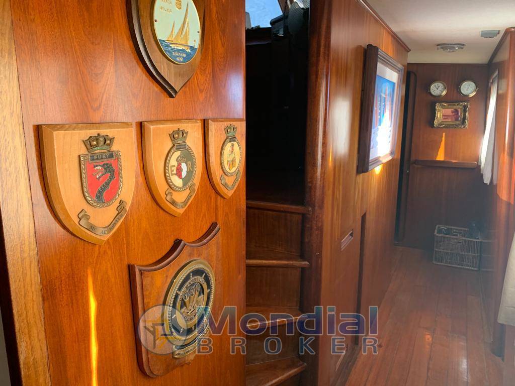 Benetti Delfino