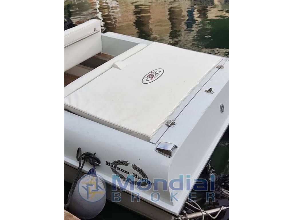 Magnum marine 27 starfire