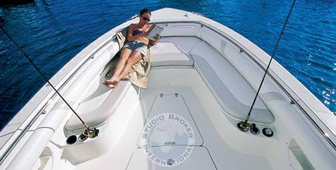 Boston whaler 320 outrage