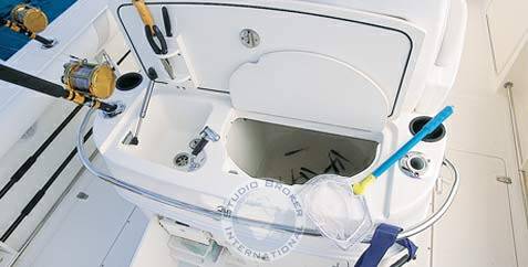Boston whaler 320 outrage