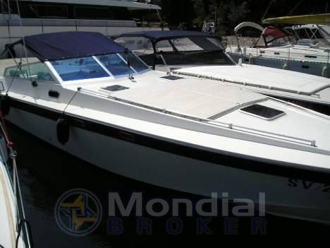 Cigala bertinetti Shark 43