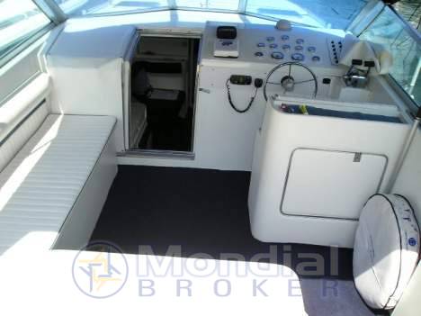 Cigala bertinetti Shark 43