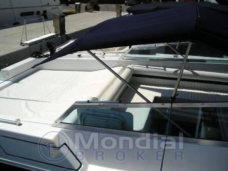 Cigala bertinetti Shark 43