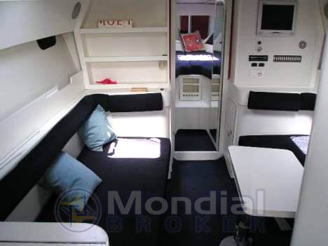 Cigala bertinetti Shark 43
