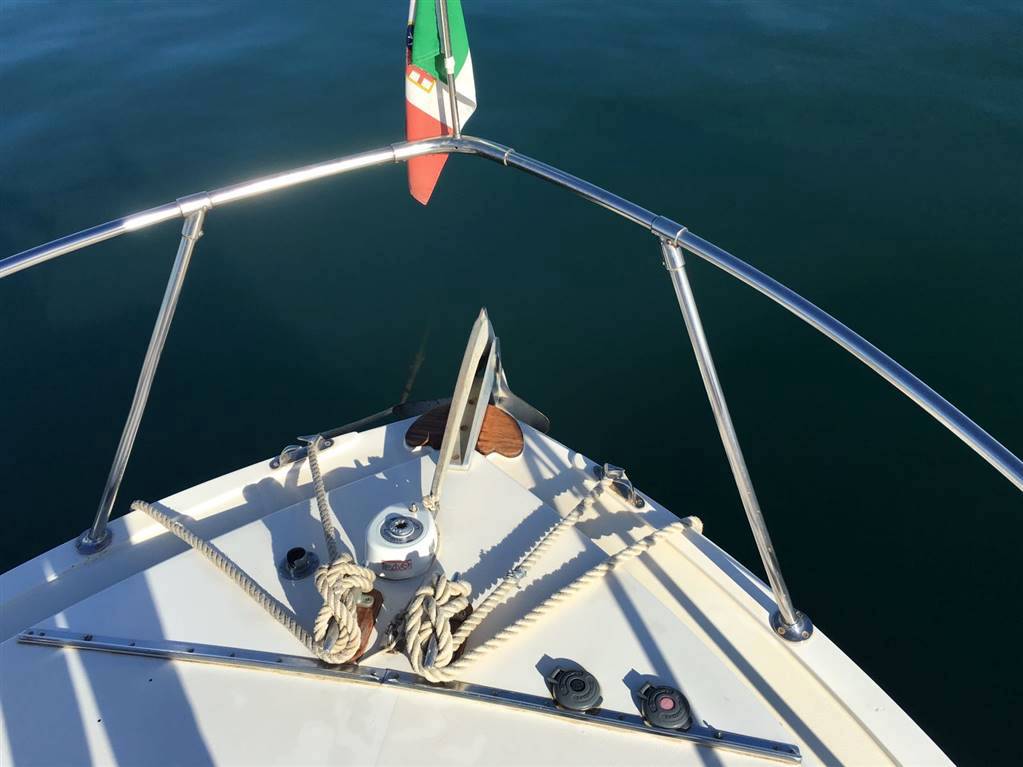 Bertram 28 fly