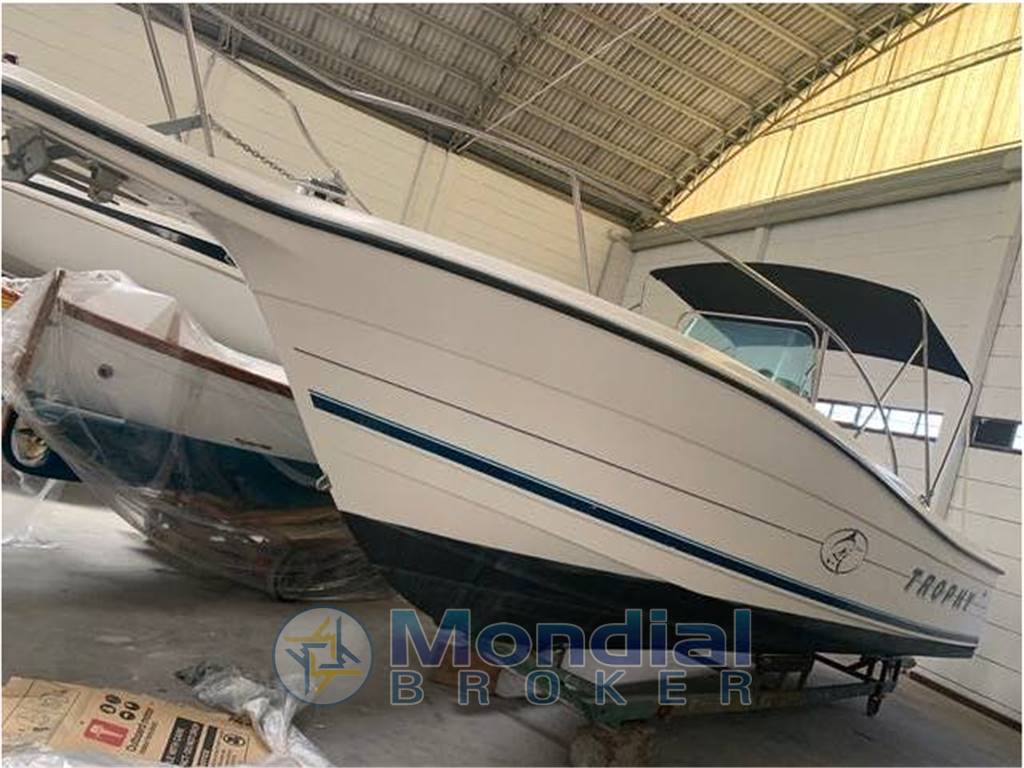 Bayliner Trophy 2503