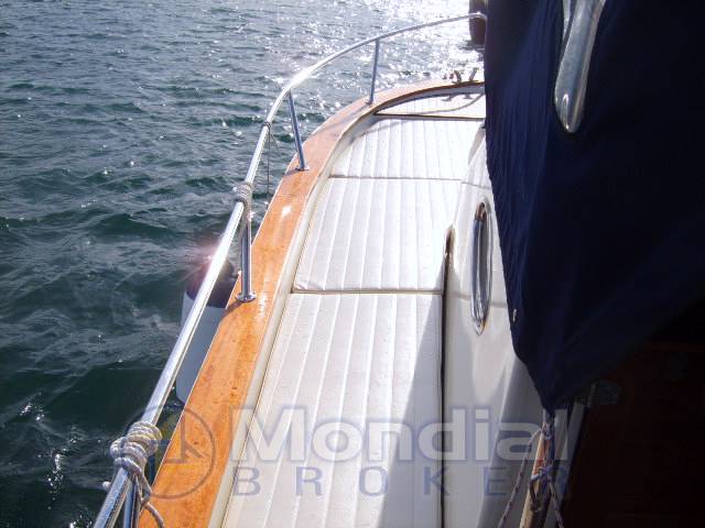 Plastimare Amelia 800 wa