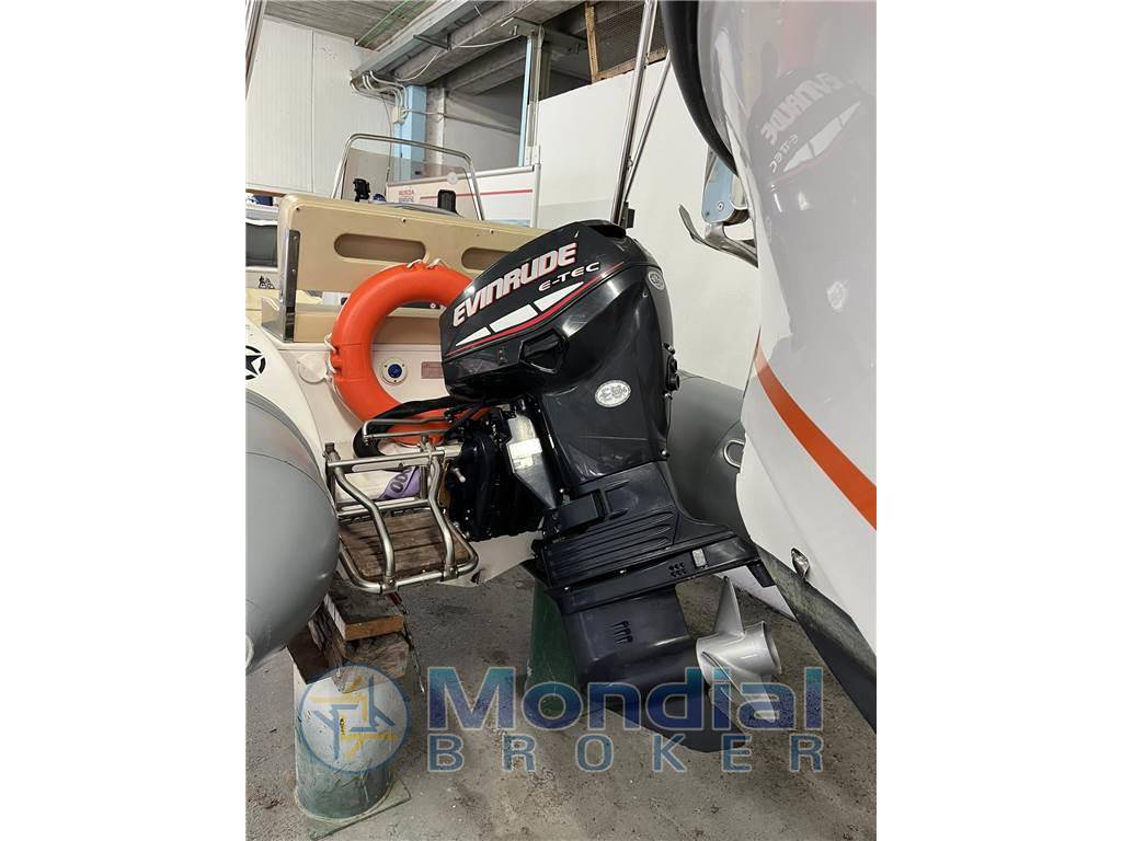 Sacs S 490