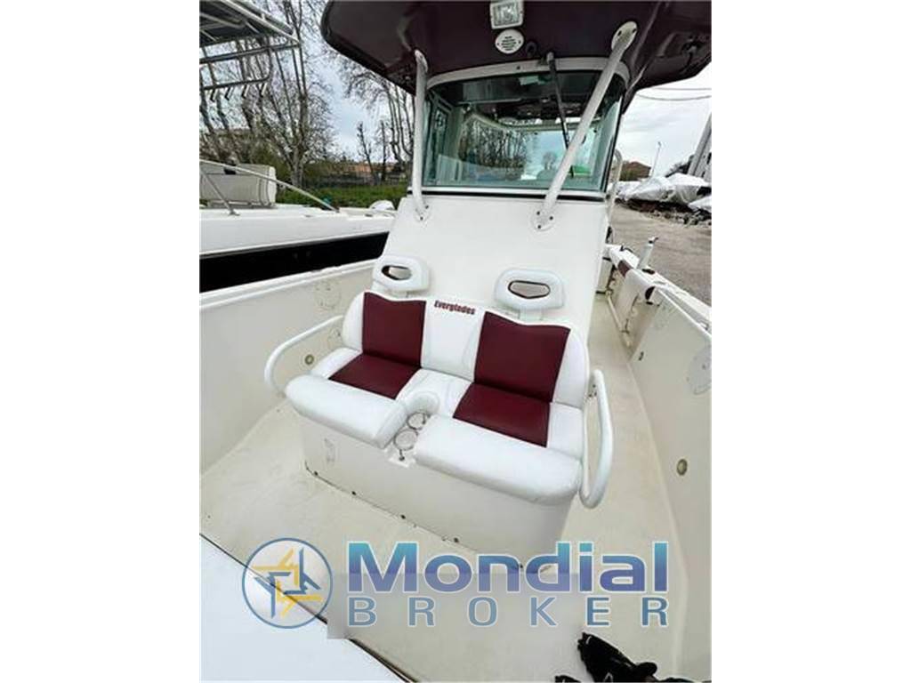 Everglades 290