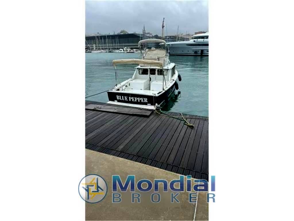 Bertram 31