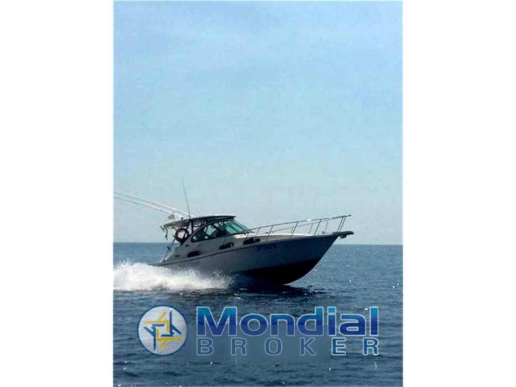 Pursuit 3100