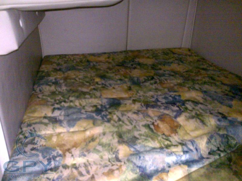 Chaparral 290