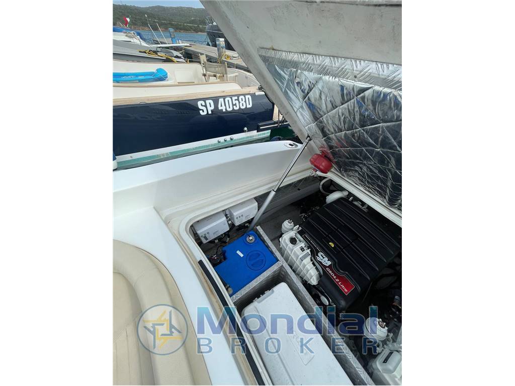 Sacs Stratos 12