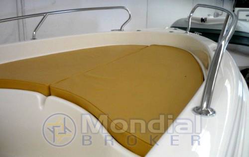 Ranieri Shark 17