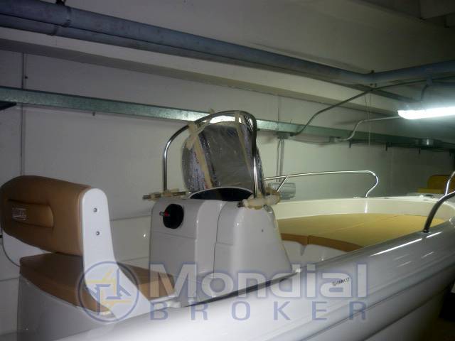 Ranieri Shark 17