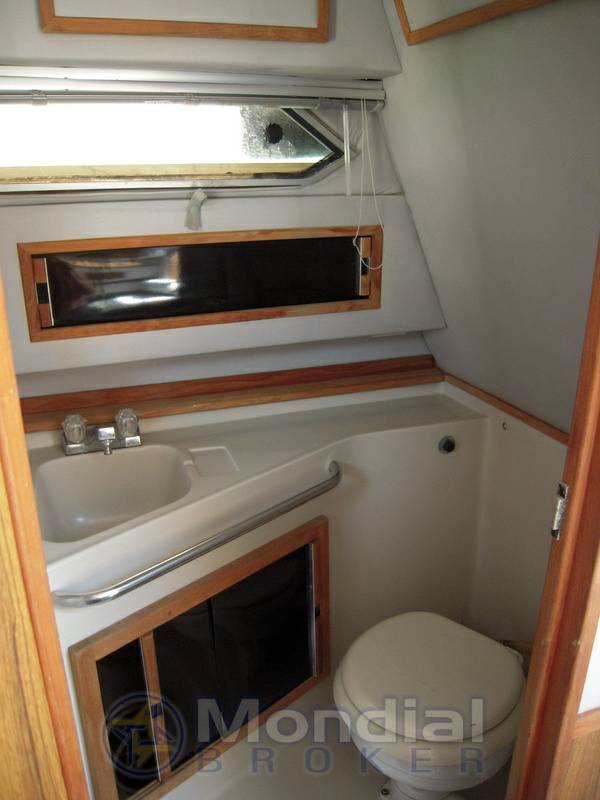 Sea ray 268 sundancer
