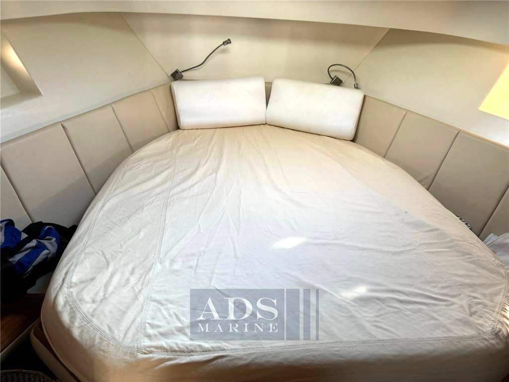 Solare 40 lobster