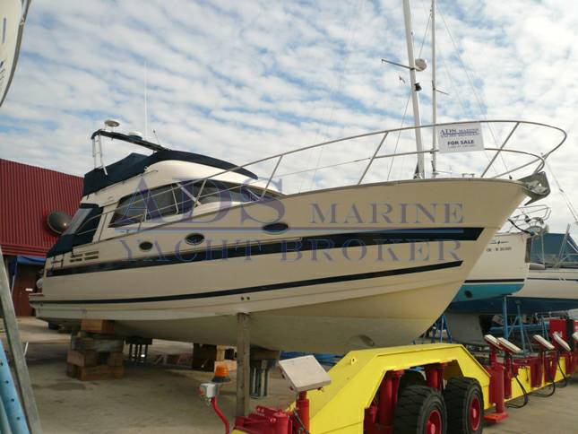 Acm Excellence 38