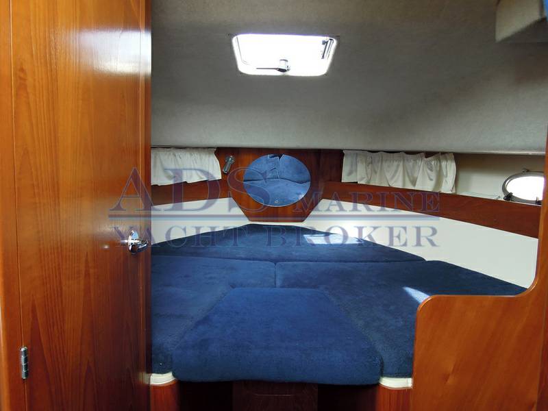 Sessa Marine dorado 28
