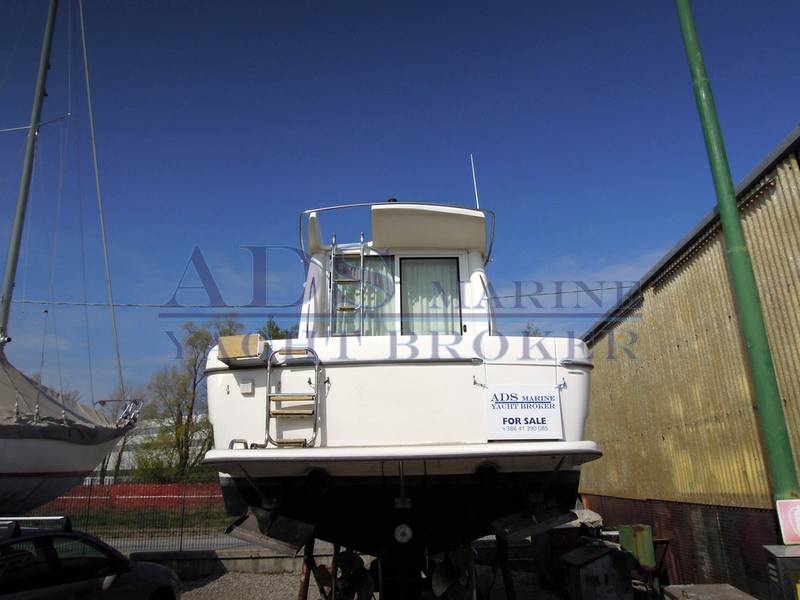 Sessa Marine dorado 28
