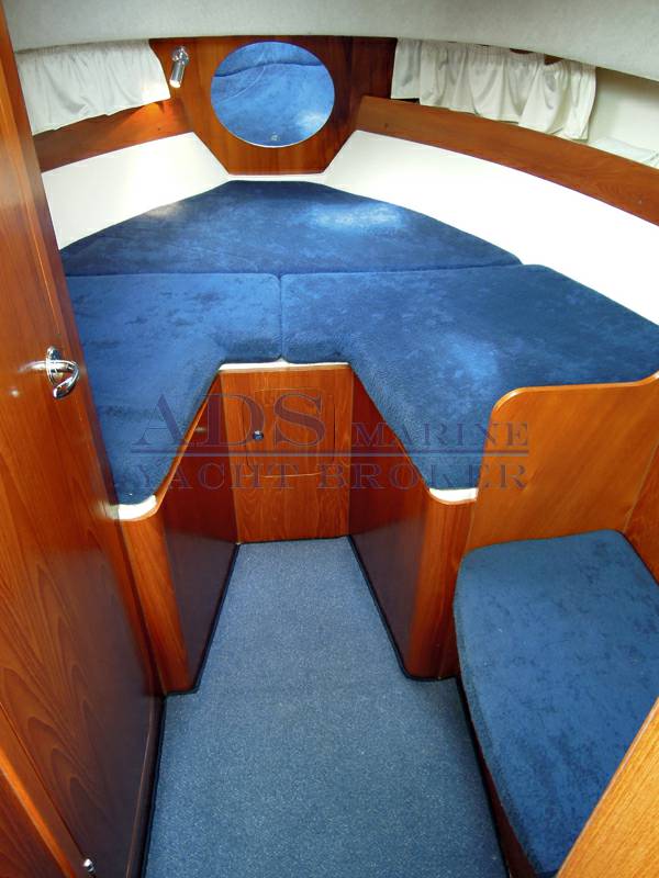 Sessa Marine dorado 28