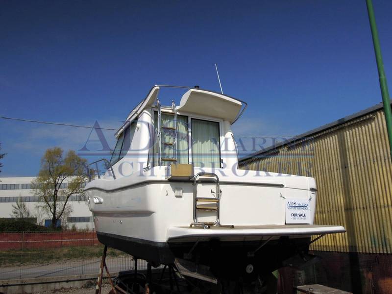 Sessa Marine dorado 28