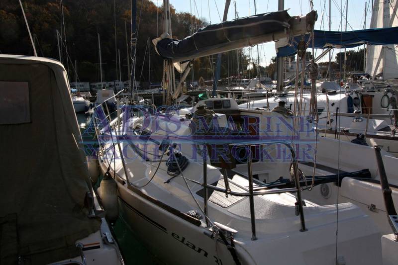 Elan 31