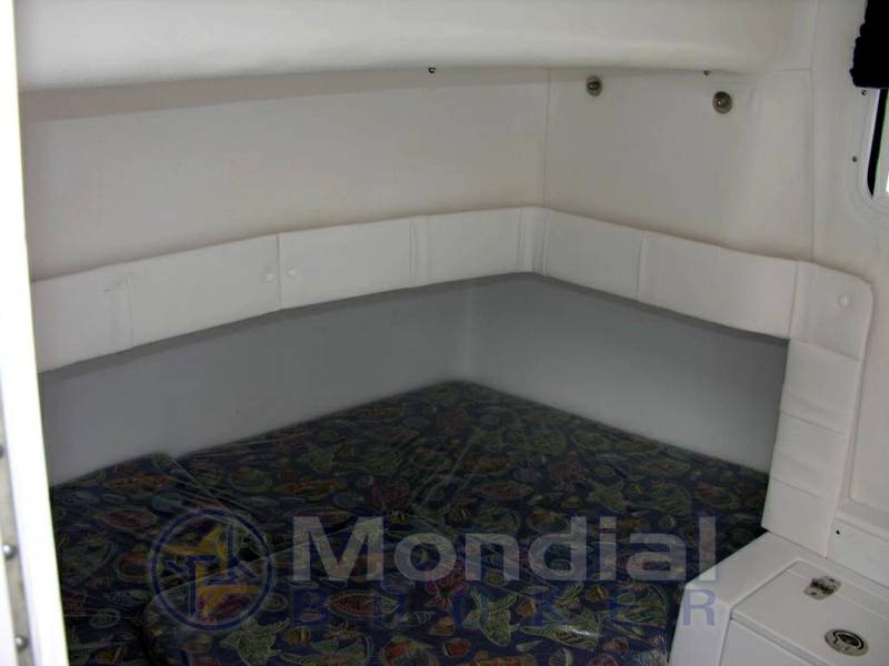 Proline 30 sport