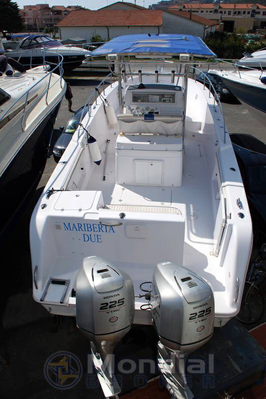 Proline 30 sport