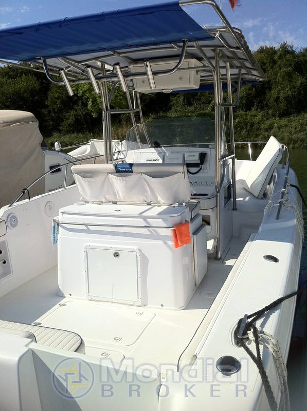 Proline 30 sport
