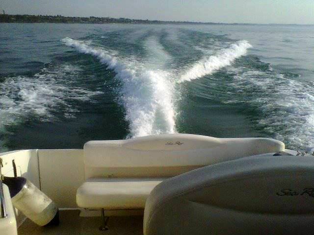Noleggio rent sea ray Sundancer 315 con patente sul lago di ga