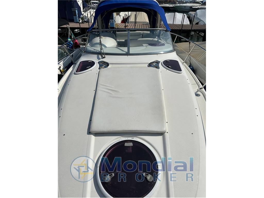 Bavaria Sport 29