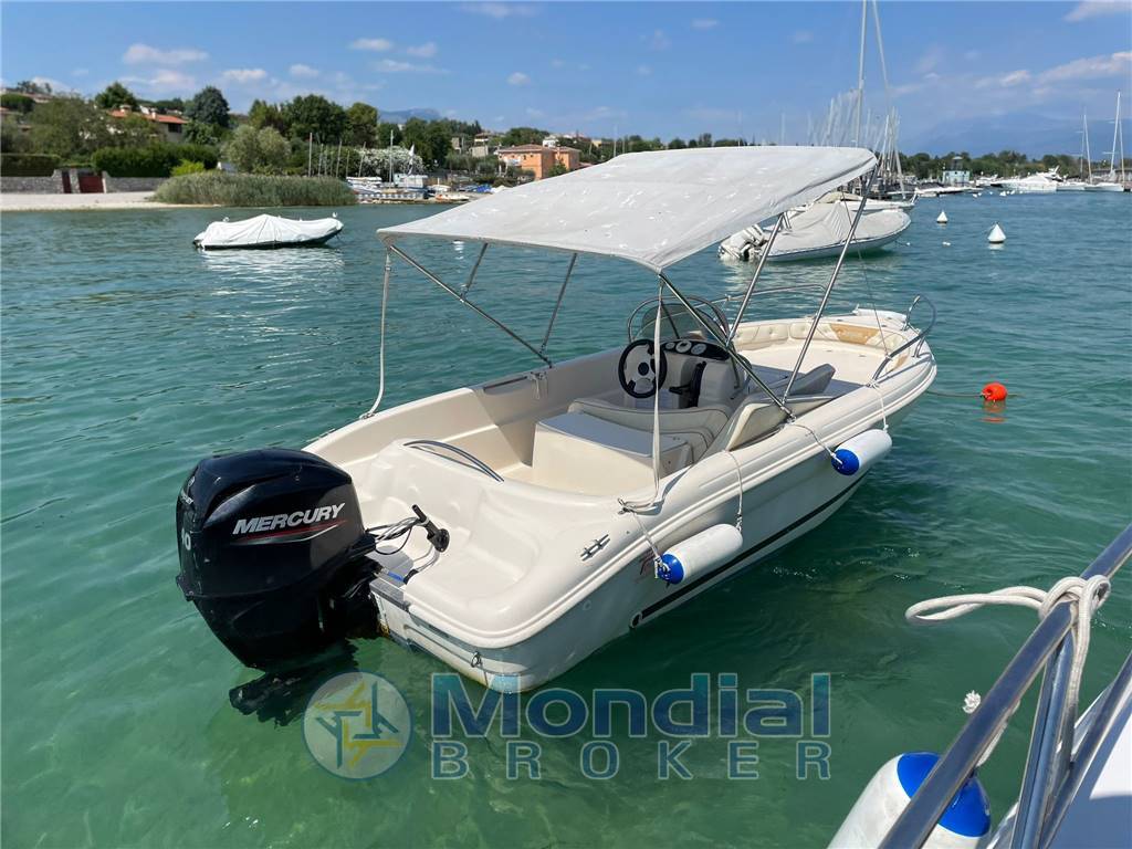 Ranieri Shark 17