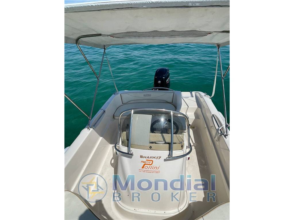 Ranieri Shark 17