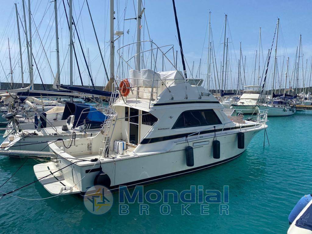 Bertram yacht 37' convertible