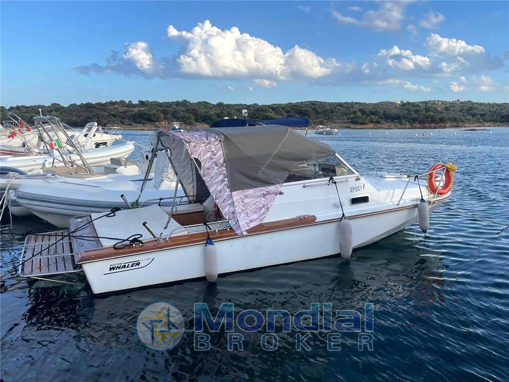 Boston whaler 22 revenge
