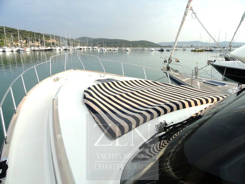 Mochi craft 51 dolphin