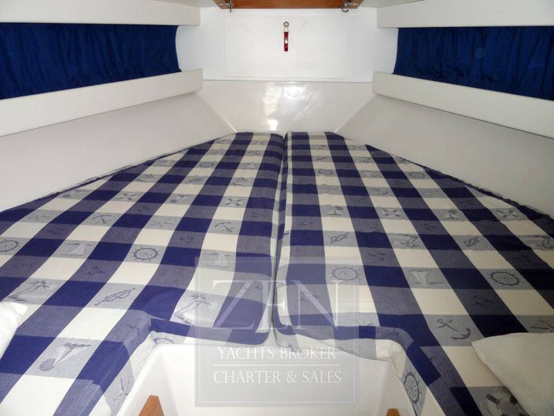 Tornado 38 sport