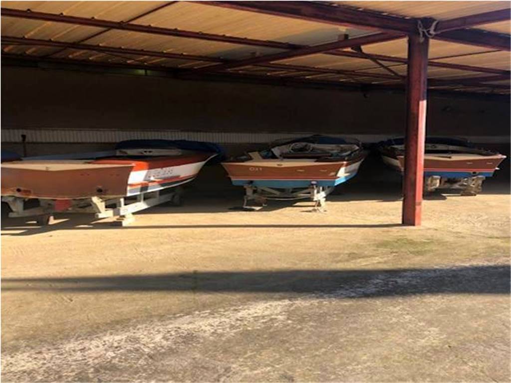Riva Junior