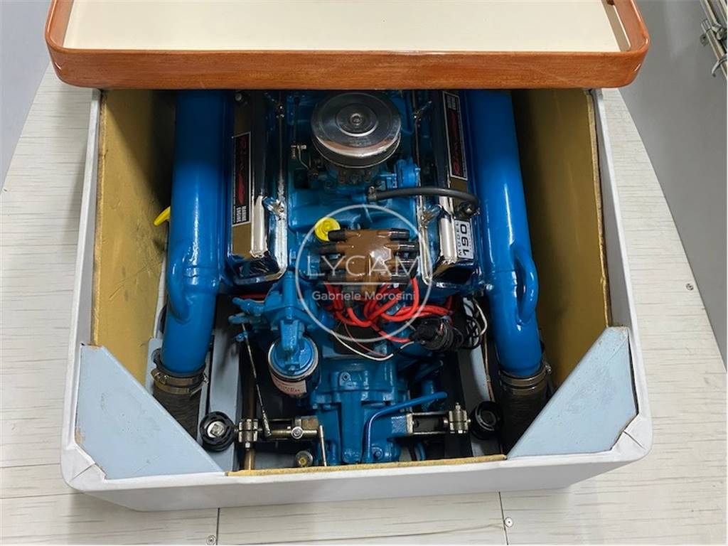 Riva Junior